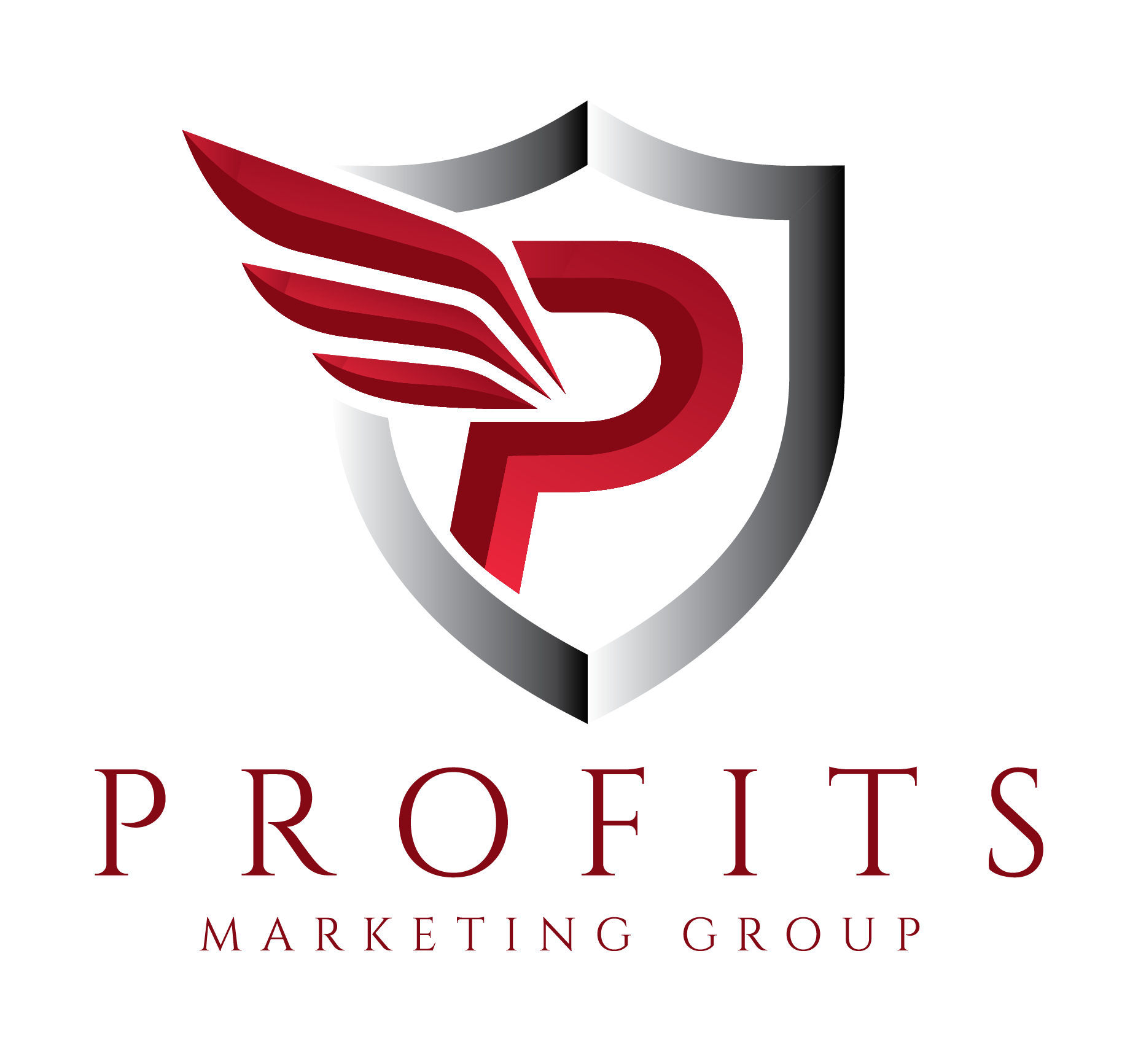 Profits Marketing Group